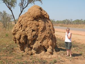 Massive termite mound