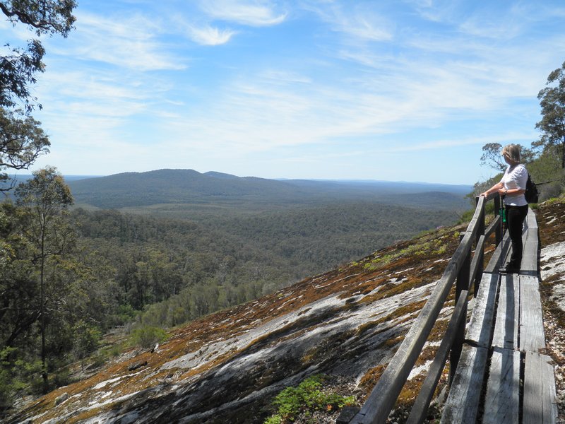 Joan looks out from Mt Frankland