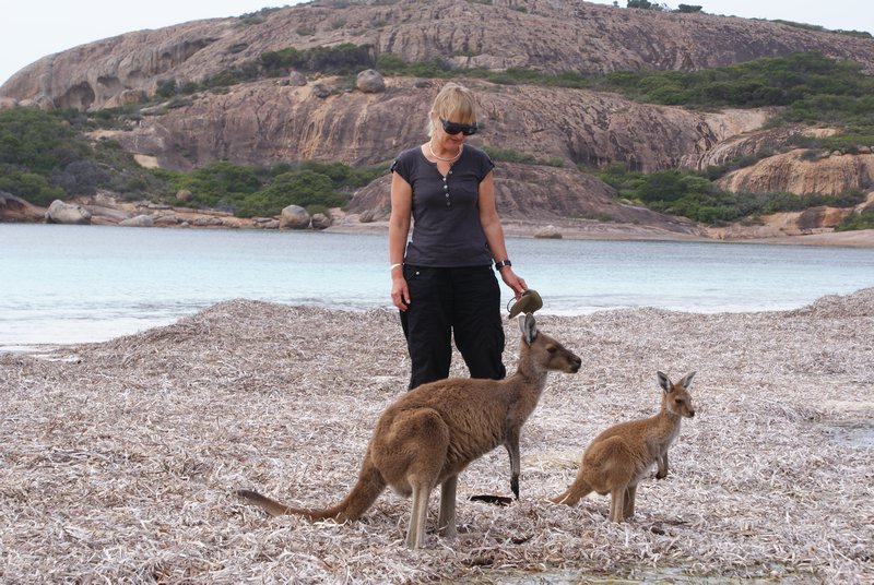 Joan and Kangaroos on the Lucky Bay beach