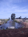 The local irrigation canal