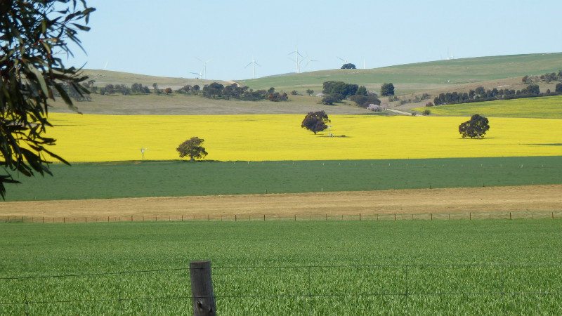 A productive country side, wind farm included