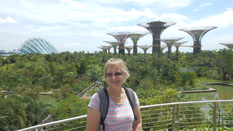 Gardens at the bay, with super trees and climate domes in the distance.