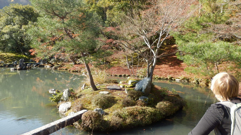 A mini stone bridge to a mini island.