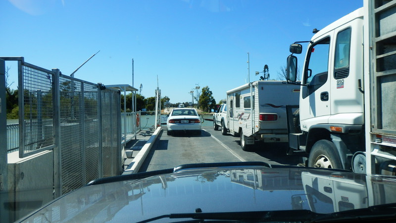 Sitting back to balance the Kingston ferry we shared the ride with a steer in a truck.