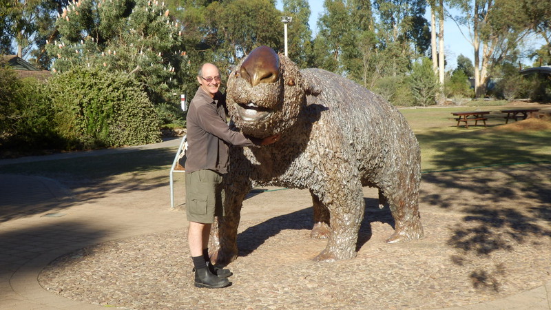 The giant wombat was our equivalent of a woolly mammoth