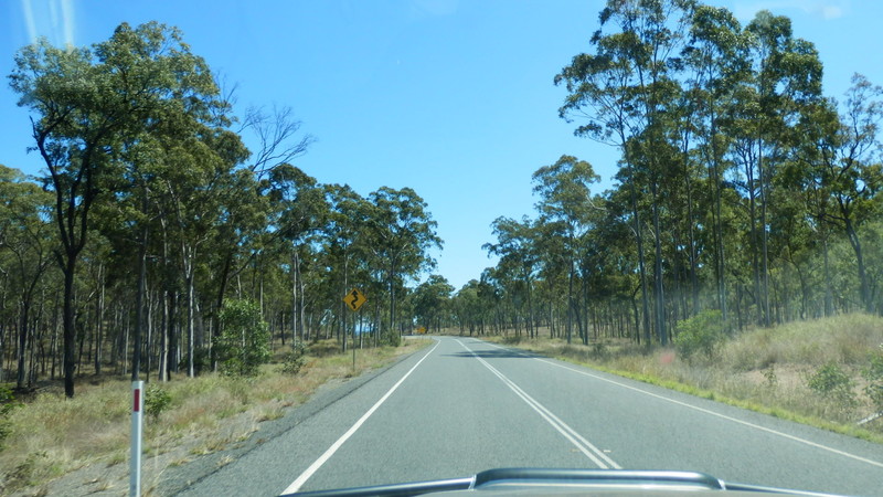 The large gums suggest a higher rainfall in this area