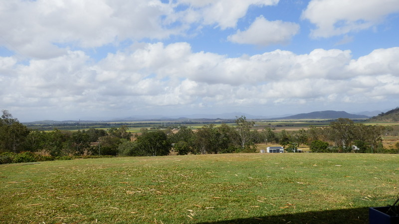 The view from Marian’s patio over the Pioneer Valley cane fields