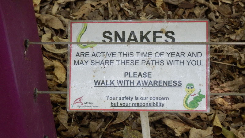 Snakes enjoy the botanic gardens as well