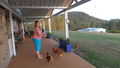 Marian feeds the birds while the chooks try to steal any strays