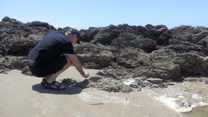 Checking out the rock pools – never know what you might find
