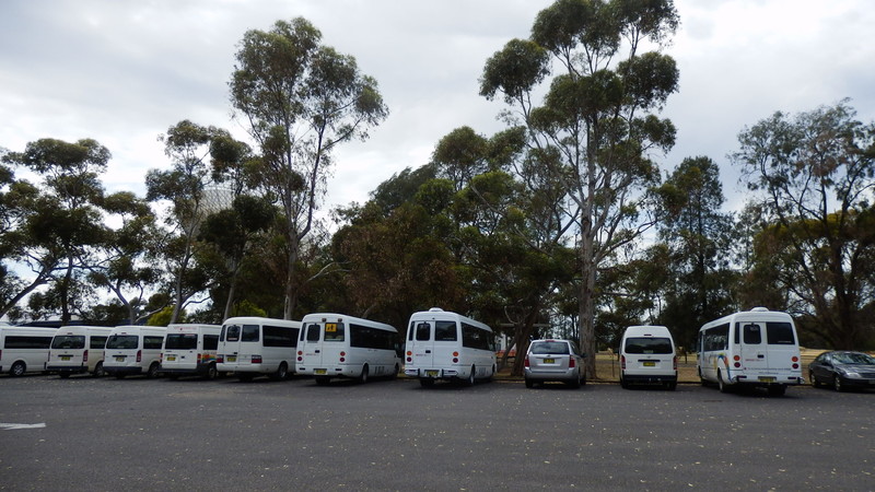 Rows of school buses in the car park