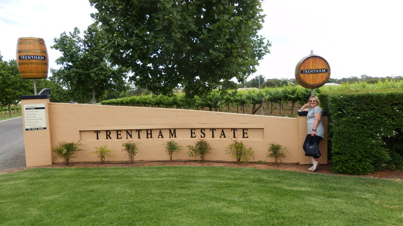 Trentham winery at Trentham Cliffs