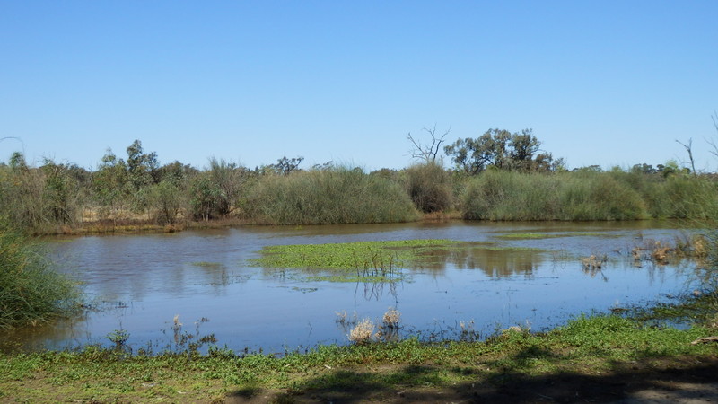 One of the stunning wetlands in King’s Billabong national park.