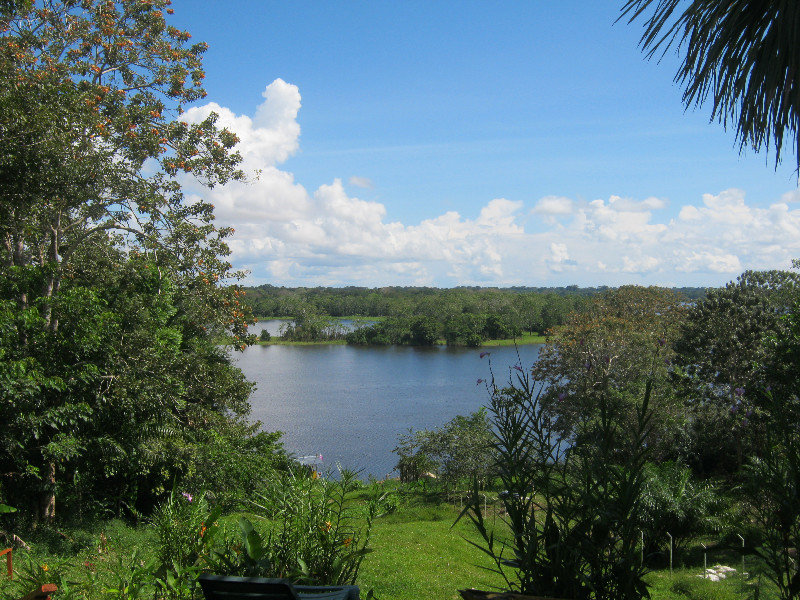 View from the Cabana in Puerto Narino