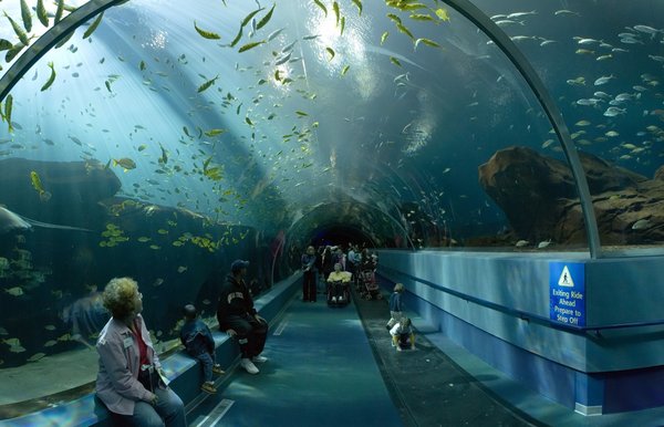 Sea World Aquarium 