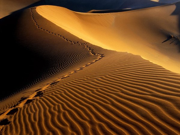 NAMIB DESERT