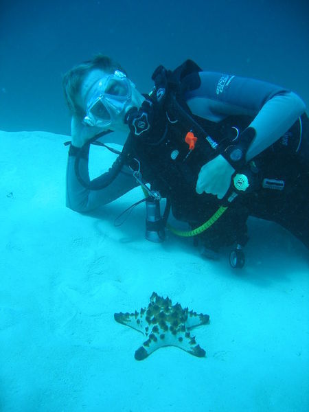 Top underwater model and a star fish