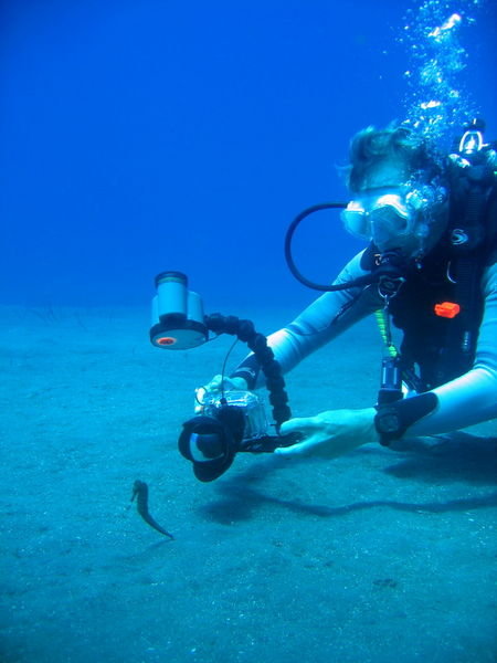Joachim taking picture of a seahorse