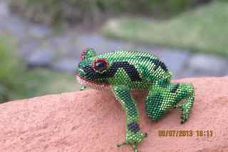 2.My jeweled frog