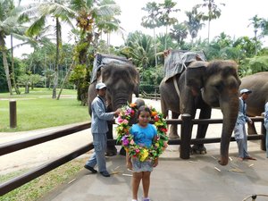 Day 3 - Taro - Elephant close encounter - 3