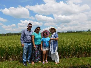 Day 3 - On the way to Ubud - paddy field