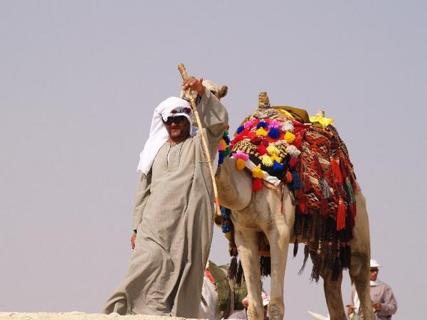 Camel man