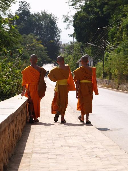 Laos monks 