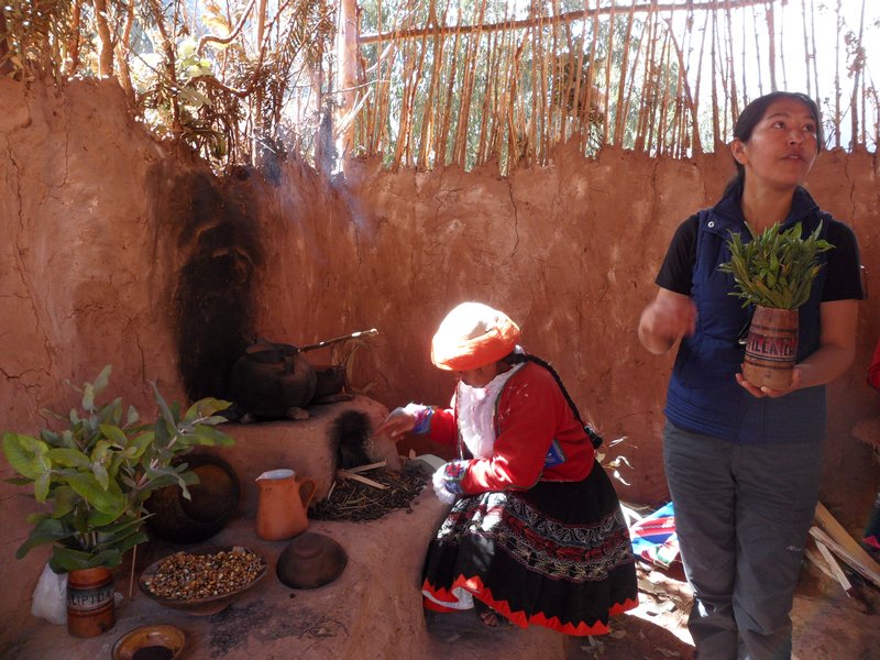 Learning the tricks of the trade in Ollantaytambo