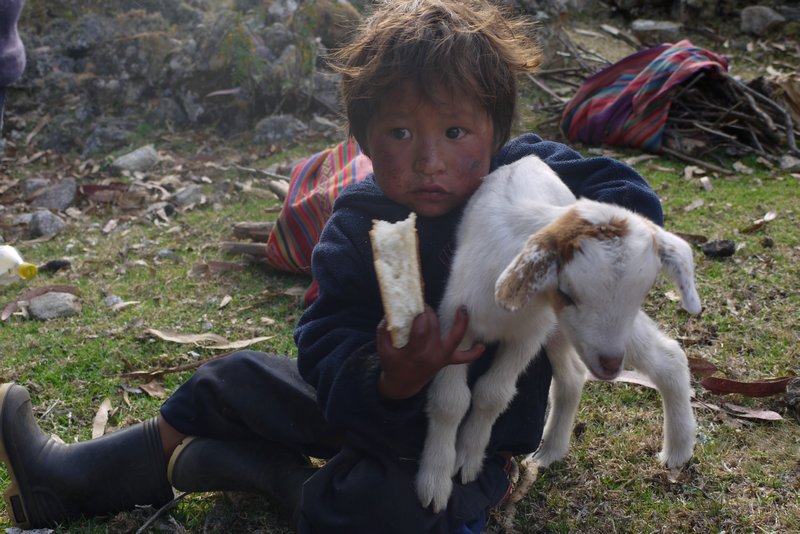 Local Kid with a Goat