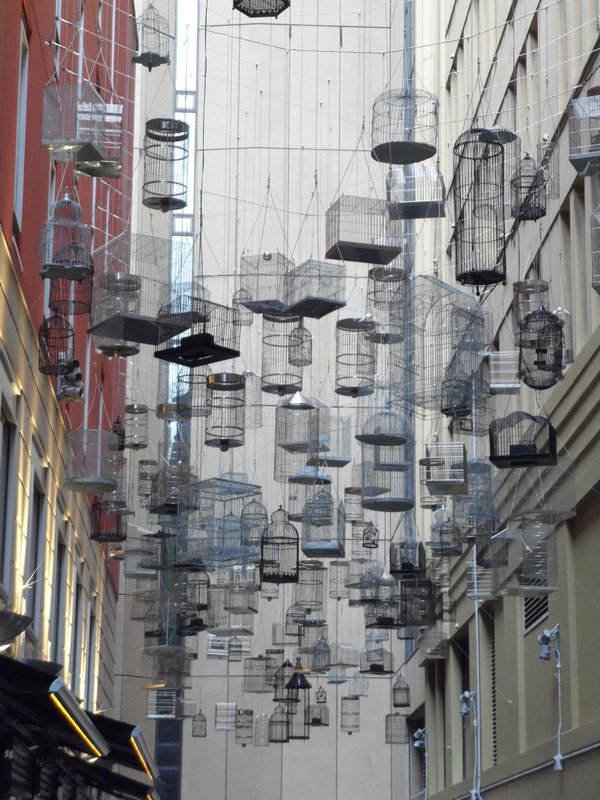 Bird Cages in Street