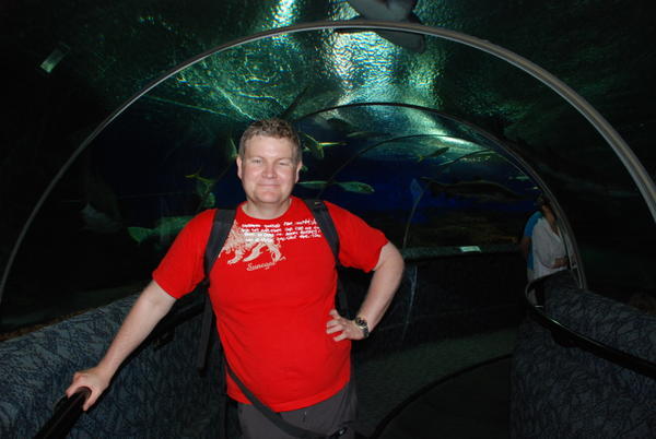In the tunnel at the Underwater world