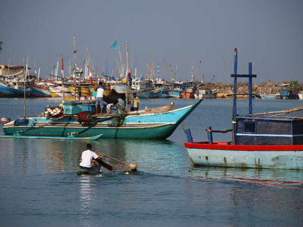 Mirissa Fishing Village
