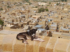 Overlooking Jaisalmer from the Fort