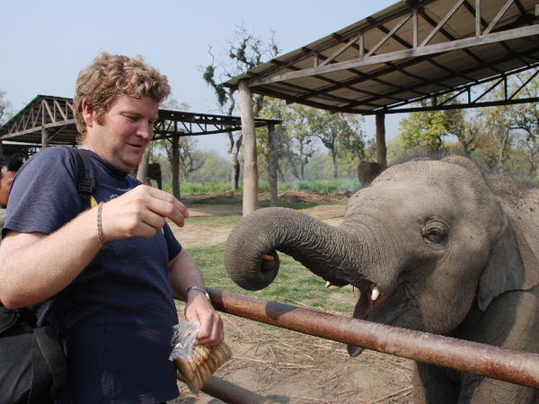 Dave feeding elephant at the breeding centre 