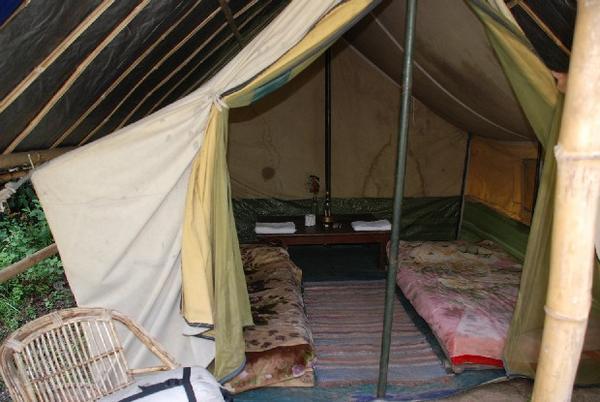 Inside the Posh Tent