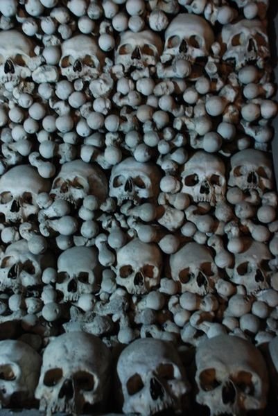 Skulls of the Departed