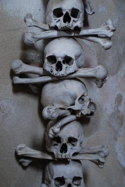 Skulls from Sedlec Ossuary
