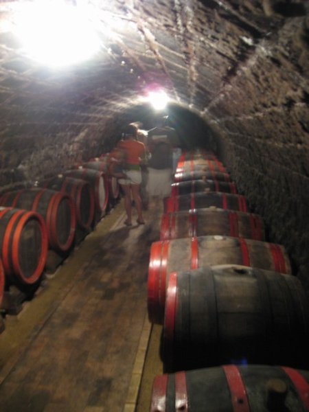 Inside the winery at Tokaj