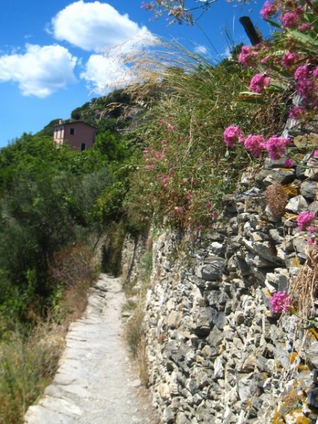 On the Coastal Trail, Cinque Terre
