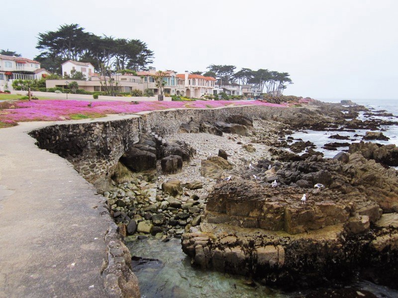 Pacific Grove Houses