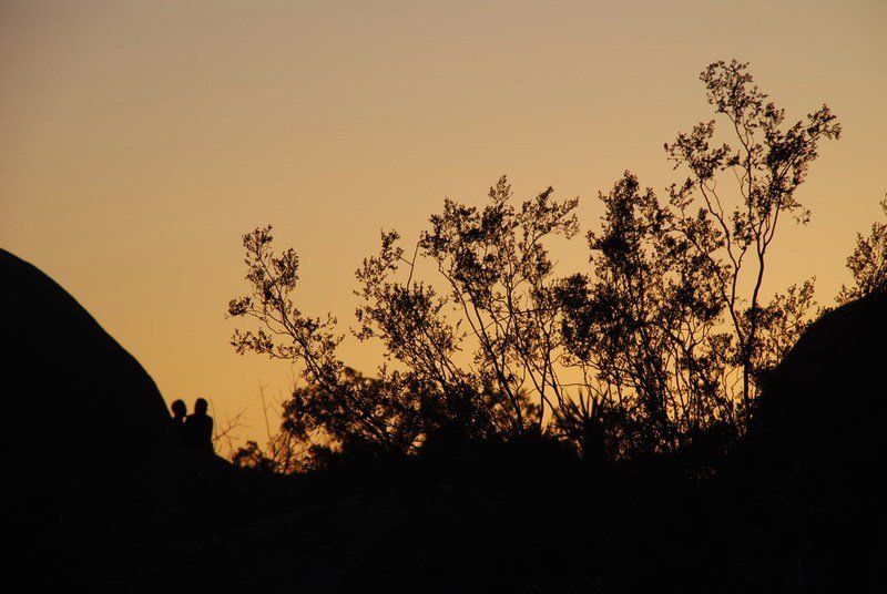 Sunset, Joshua Tree