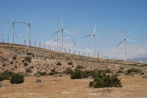 Wind Farms Morango Valley