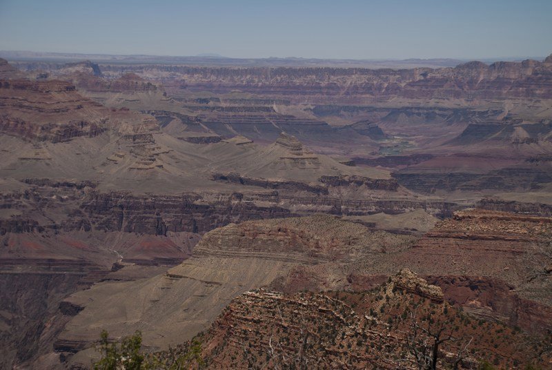 Canyon, from South Rim