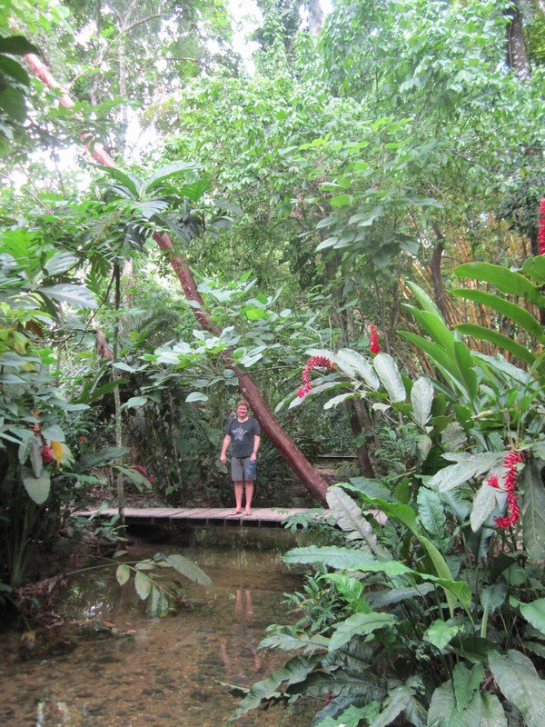 In the jungle at El Panchan