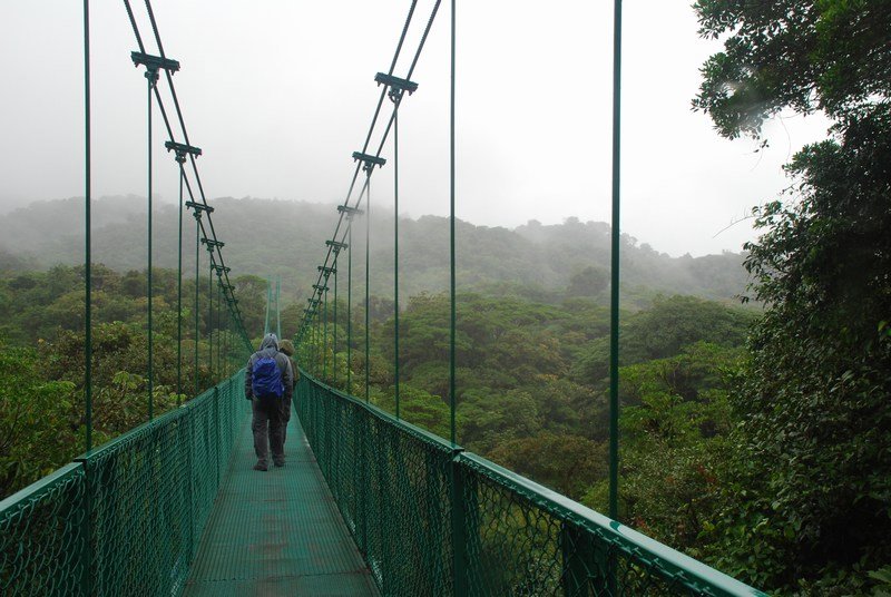 Swing Bridge Monteverde