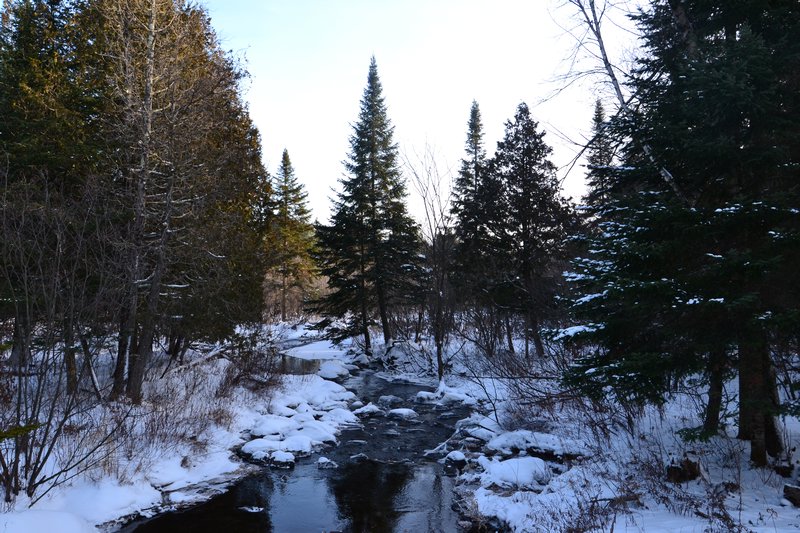 petite rivière au milieu de la nature hivernale