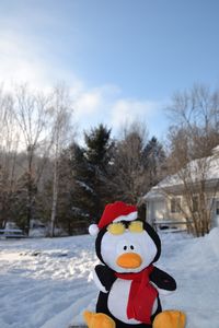 Le pingouins dans la neige