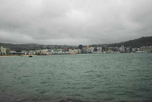 Wellington from across the bay