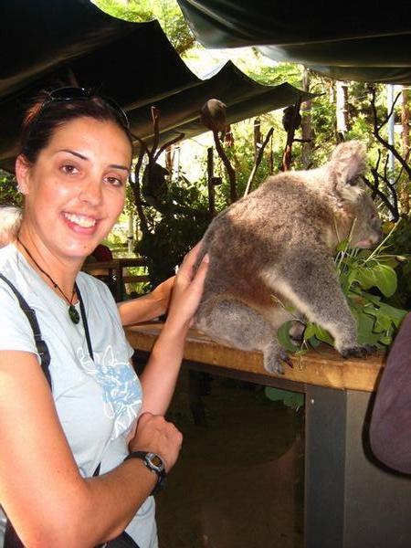 Brittany getting fresh with a Koala on our way out of Sydney
