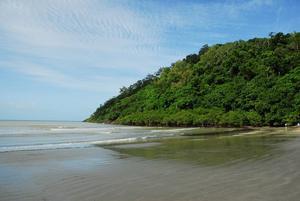 The point at Cape Tribulation
